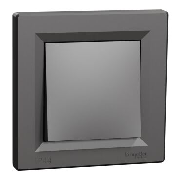 EPH0100271 Schneider Asfora – IP44 Anahtar, Çerçeveli – Antrasit - 1