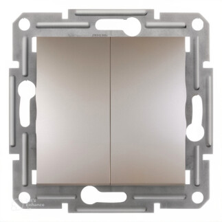 EPH0300369 Schneider Asfora Çift Anahtar – Bronz - 1